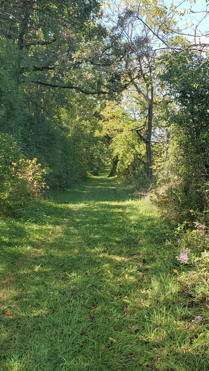 Sag Valley Trail System 